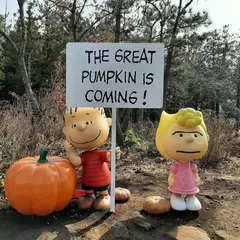 Snoopy Garden