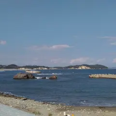 菖蒲田浜