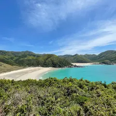高浜