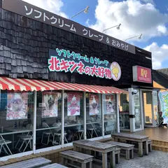 Kits 北キツネの大好物 福岡タワー店