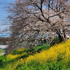 弁天橋