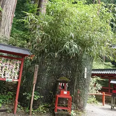 縁結の笹(二荒山神社)