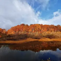 野々海高原