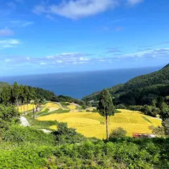 岩首棚田展望小屋