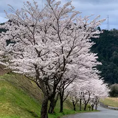用瀬町運動公園