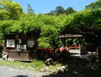 大原野神社の写真・動画_image_76949