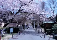 鷺森神社の写真・動画_image_70023