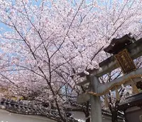 岩屋神社の写真・動画_image_63347