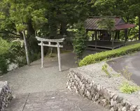 八坂神社の写真・動画_image_213059