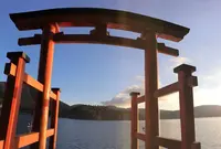 箱根神社の写真・動画_image_211204