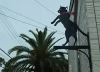 プシプシーナ珈琲の写真・動画_image_249353