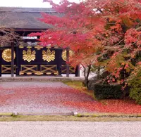 醍醐寺三宝院の写真・動画_image_205636