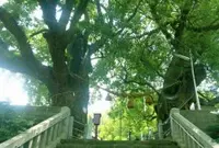 山王神社の写真・動画_image_192183