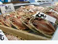 おさかな村の写真_59921