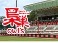 スポーツレストラン 梟巣の写真_246795