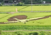 シルク温泉　やまびこの写真・動画_image_189491