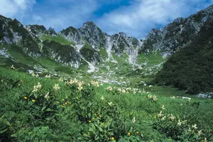 【７～８月】高山植物の宝庫中央アルプス千畳敷カール 標高2,612ｍへロープウェイで誰でも行ける絶景