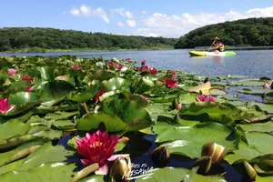 【青森県】湖と自然を全力で楽しむためのプラン🪿🌿