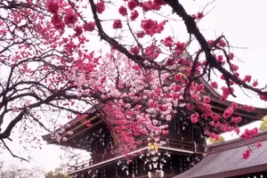 愛知県一宮市♪真清田神社祭礼と”古きよき時代の建物”を訪ねて…！