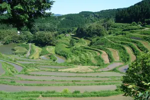 日本一の面積を誇る 岡山の棚田を見にいこう