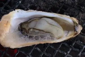 関西屈指の牡蠣生産地「赤穂・坂越（さこし）」で牡蠣と温泉を楽しもう！