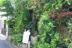 表参道でみつけた 緑とお花と竹林のある場所。