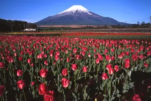 富士山と過ごす癒しのホリデー☆