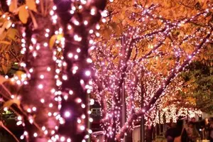 五反田に冬の桜を観に行きませんか？2015