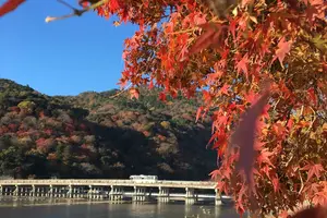 決定版！1泊2日で京都の紅葉を楽しむプラン