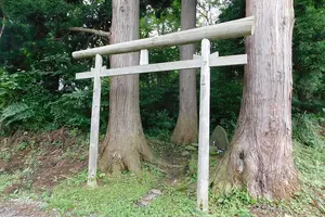 杉沢村伝説と秘湯・タヌキの湯