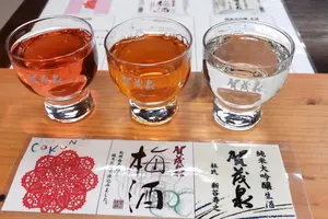 【広島県】日本酒の街・西条🍶昼から美味しいお酒を飲み歩くグルメプラン🤤