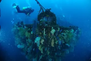 都心から日帰り可能な沈船、海底洞窟ダイブ⁈