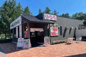 【2泊3日】星野リゾート界アルプスと渋温泉をハシゴする長野旅行！