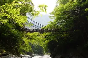 秘境と呼ばれる山間の地を楽しむ。平家落人伝説の残る「祖谷のかずら橋」、断崖に立つ「小便小僧」。