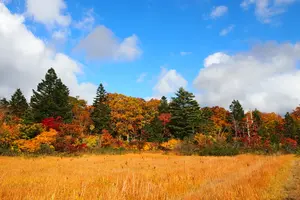 紅葉とワイルドな野湯を満喫　秋田焼山へ登山