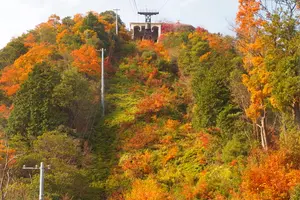 近江八幡～彦根城へ 紅葉を見に行こう！！