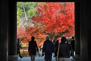 紅葉を求めて南禅寺とその周辺をブラ散歩