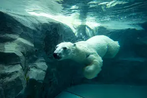 家族で楽しめる北海道特集☆