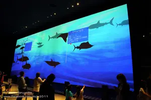 大自然超体感ミュージアム「Orbi」で大自然を体験しよう！／横浜