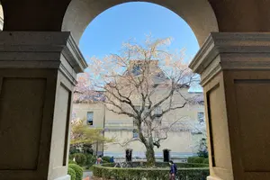 秘密にしたい春スポット🌸〜京都・西陣界隈〜