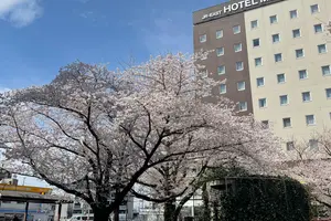 桜の街散策🌸~東京都~