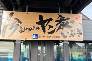 各地のSAなどドライブ途中での食事や給電、そして日帰り温泉。