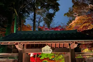 栃木県　鹿沼ぶっつけ秋祭りを鑑賞！鹿沼市を巡る旅