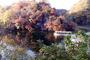 広島ぐるり！秋の紅葉めぐりの旅