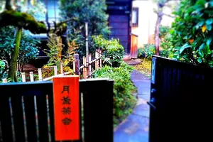 畳に座って抹茶体験！