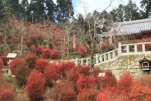 紅葉、登山、自然癒しの旅