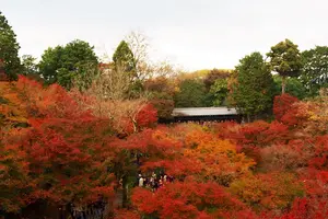 11月京都、紅葉を求めて②