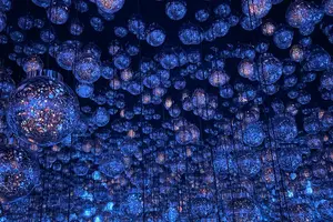 【東京 麻布台】teamLab⭐︎ Borderless 秋の遠足🎶