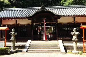 半日のどかに歩きながら、歴史や茶筌について学べるツアー  生駒市高山町