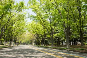 駒沢エリア🌳